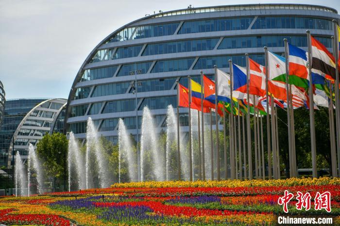 第五屆進博會場館景觀裝飾全面定妝?！￡悏魸?攝