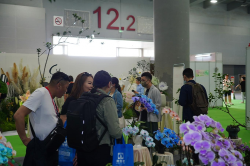 2024花城“新秀花事”亮點(diǎn)搶先看！和廣州國(guó)際花藝節(jié)一起解鎖“花經(jīng)濟(jì)”財(cái)富密碼(圖4)